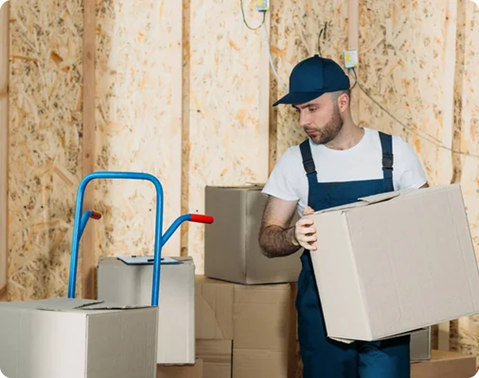 Moving & Shifting Services
